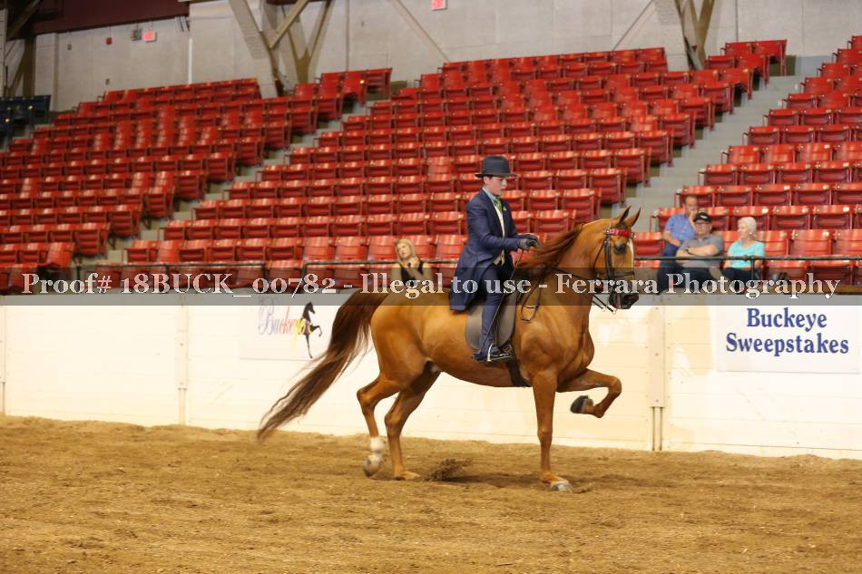 Proof Number 18BUCK_00782