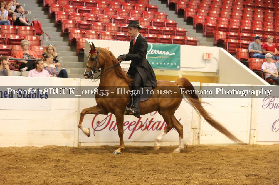 Proof Number 18BUCK_00855