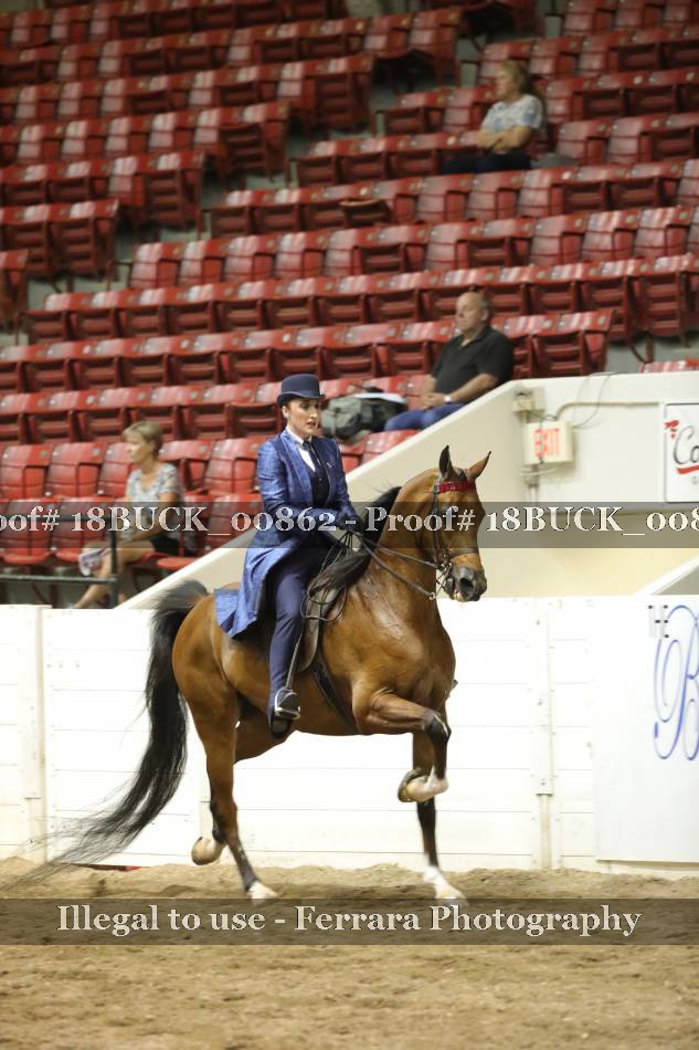Proof Number 18BUCK_00862