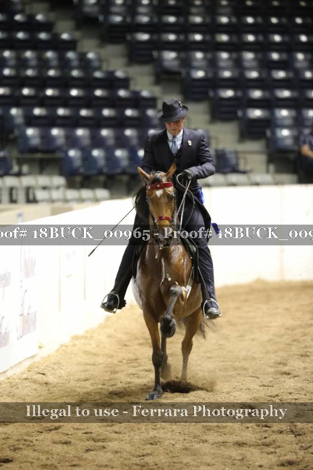 Proof Number 18BUCK_00965