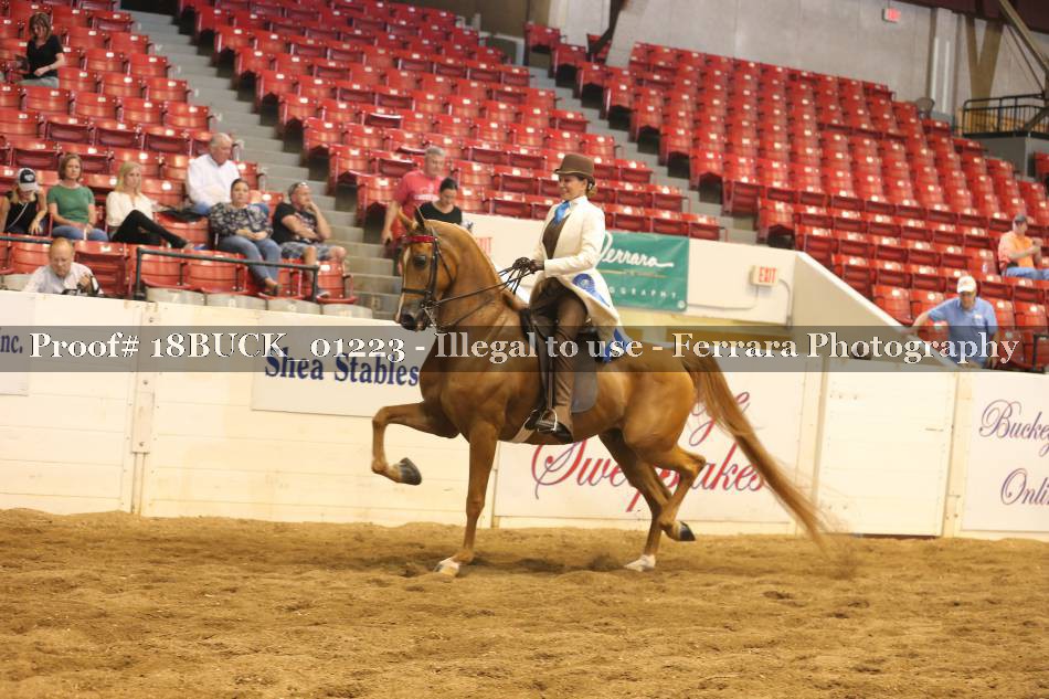 Proof Number 18BUCK_01223