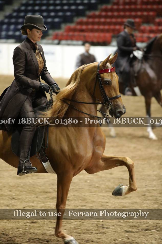 Proof Number 18BUCK_01380