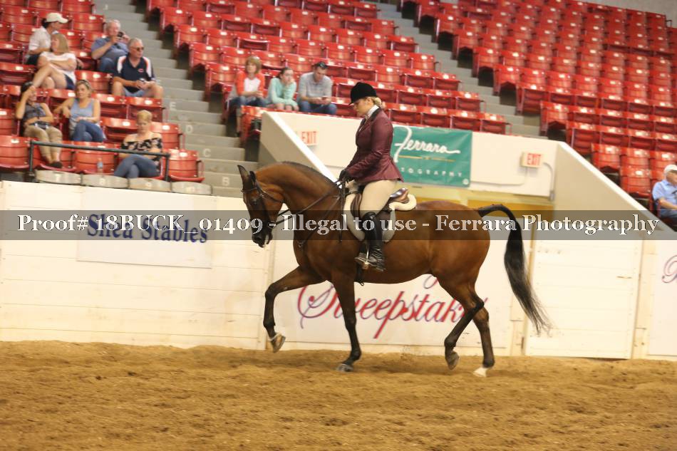 Proof Number 18BUCK_01409