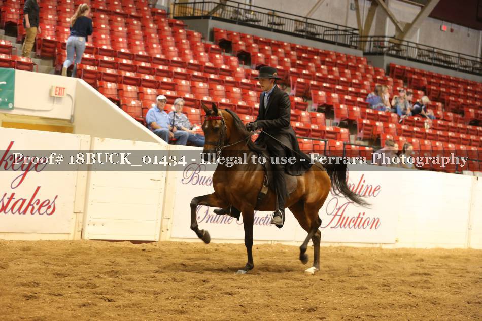 Proof Number 18BUCK_01434