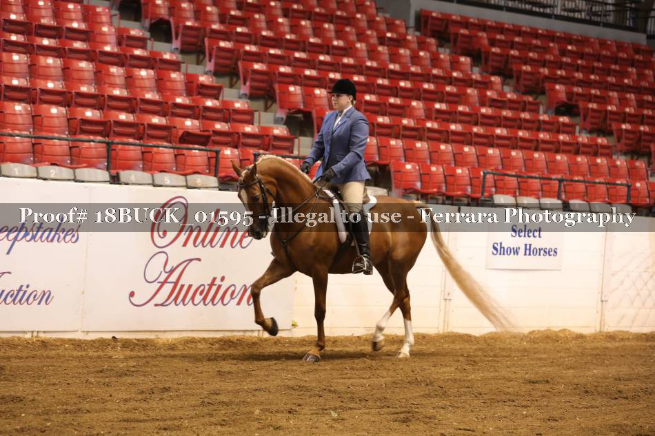 Proof Number 18BUCK_01595