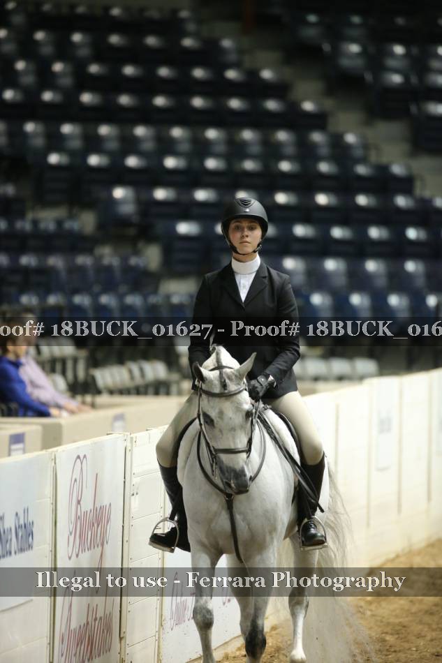 Proof Number 18BUCK_01627