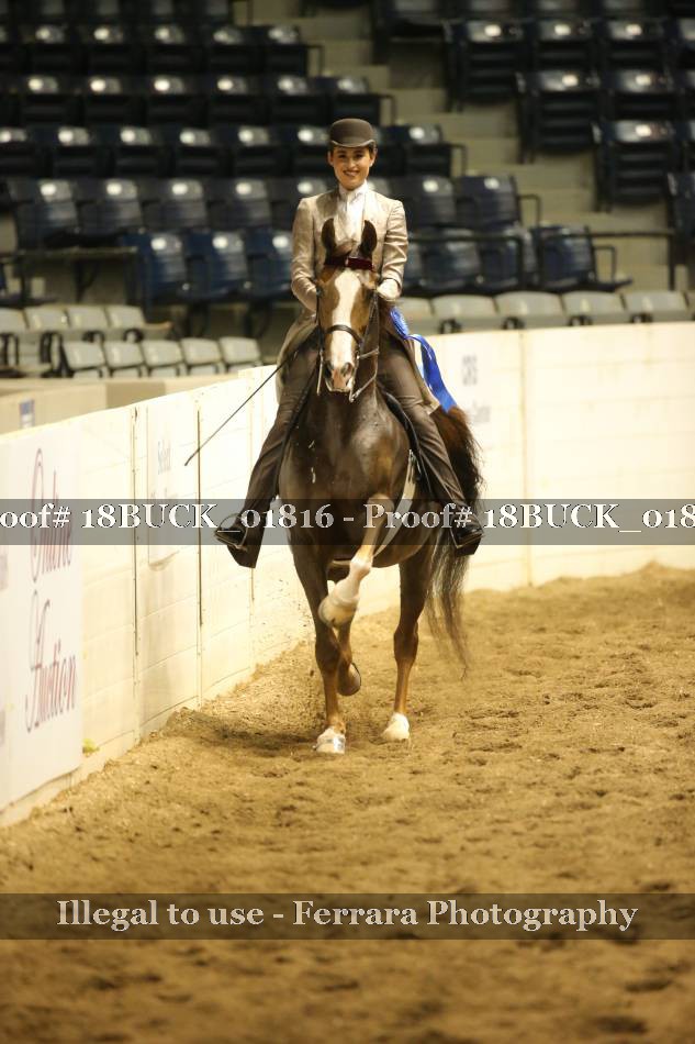 Proof Number 18BUCK_01816