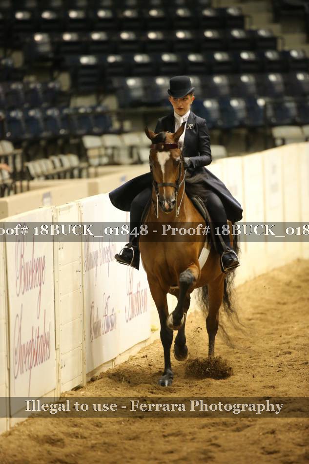 Proof Number 18BUCK_01848