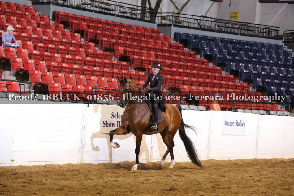 Proof Number 18BUCK_01856