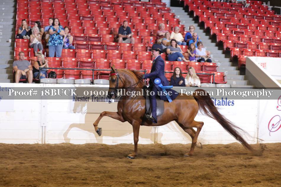 Proof Number 18BUCK_01901