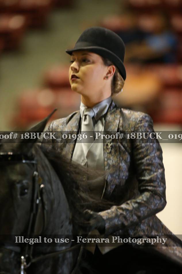 Proof Number 18BUCK_01936
