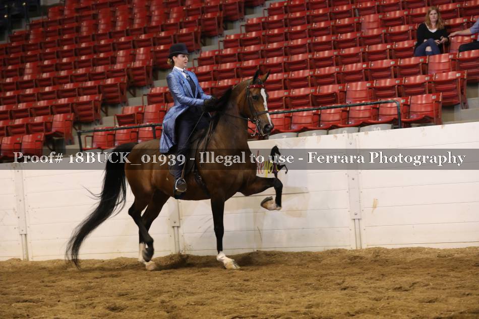 Proof Number 18BUCK_01939
