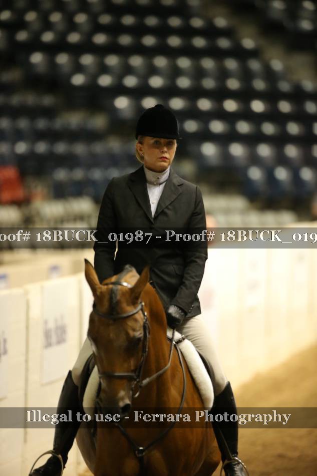 Proof Number 18BUCK_01987
