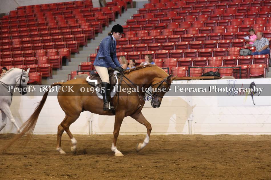 Proof Number 18BUCK_01995