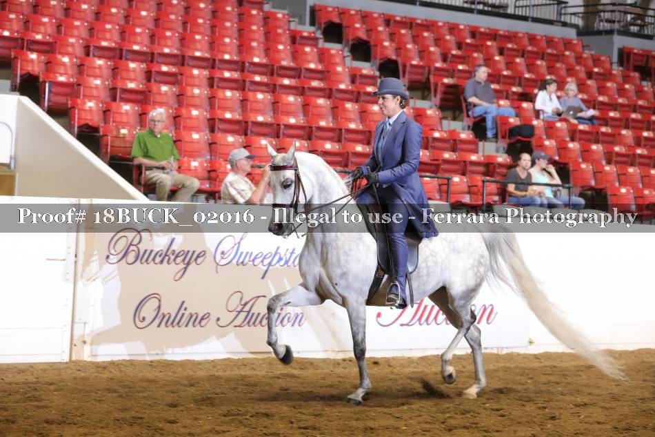 Proof Number 18BUCK_02016