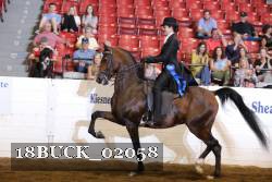 18BUCK_02058 thumbnail