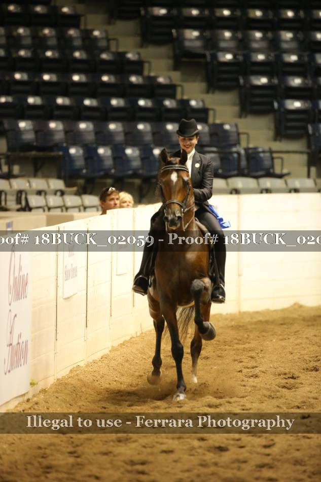 Proof Number 18BUCK_02059
