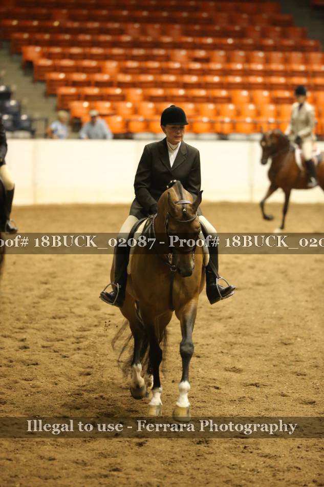 Proof Number 18BUCK_02087