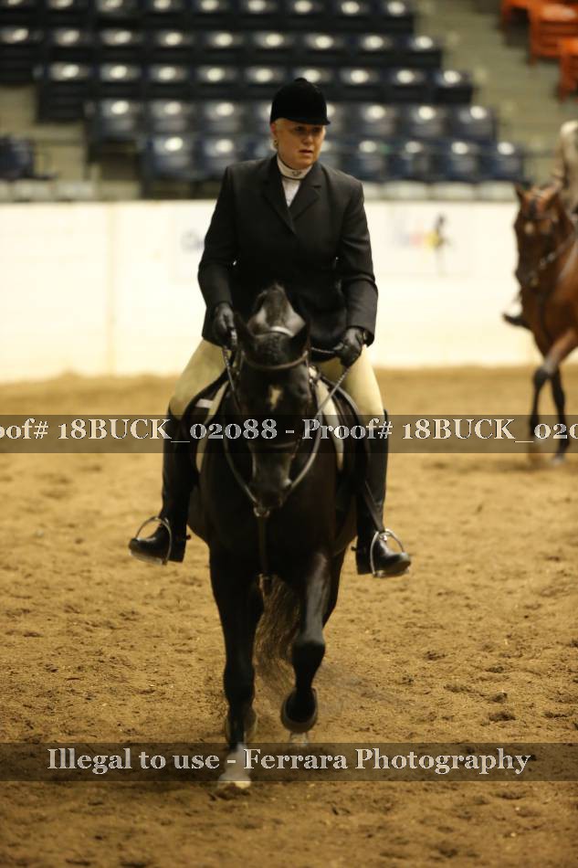 Proof Number 18BUCK_02088