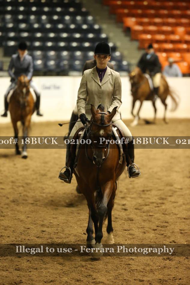 Proof Number 18BUCK_02100