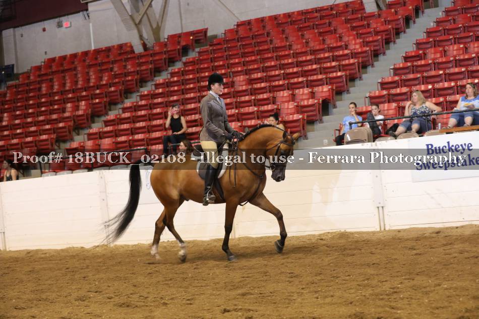 Proof Number 18BUCK_02108