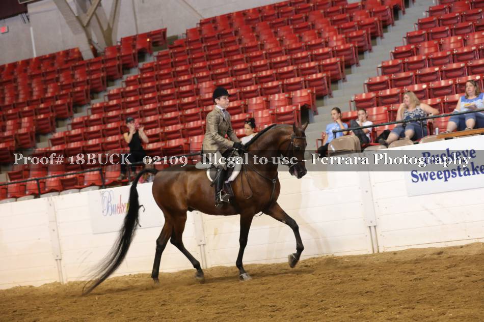 Proof Number 18BUCK_02109