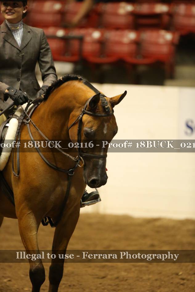 Proof Number 18BUCK_02116