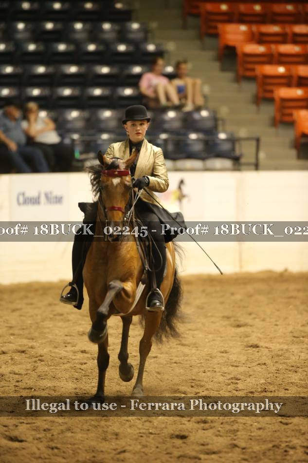 Proof Number 18BUCK_02245
