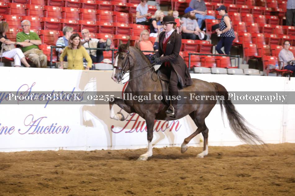 Proof Number 18BUCK_02255