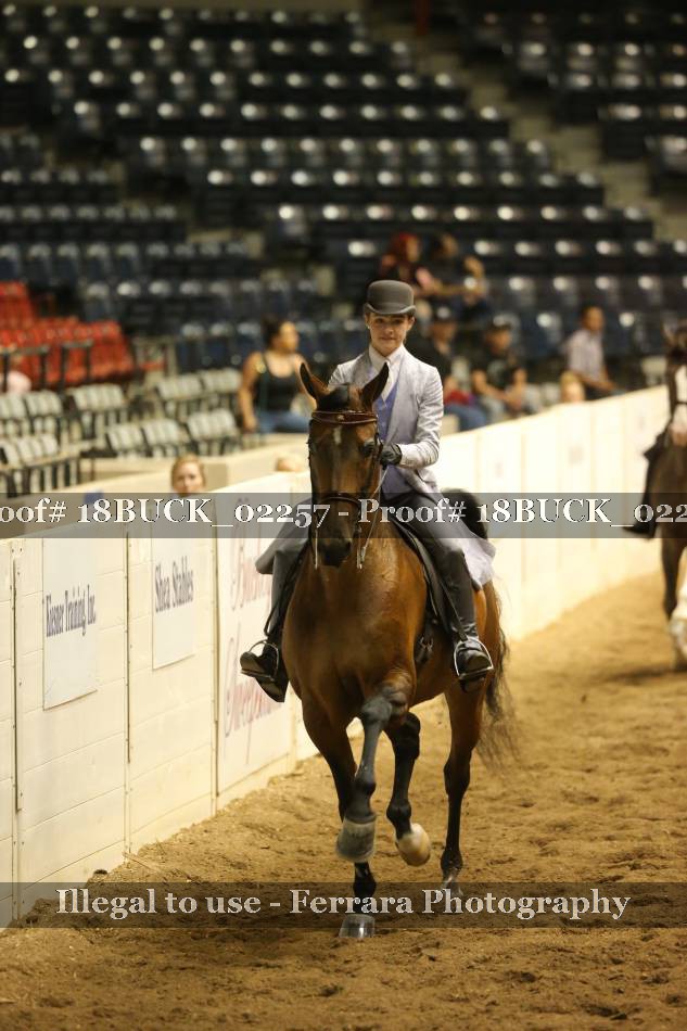 Proof Number 18BUCK_02257
