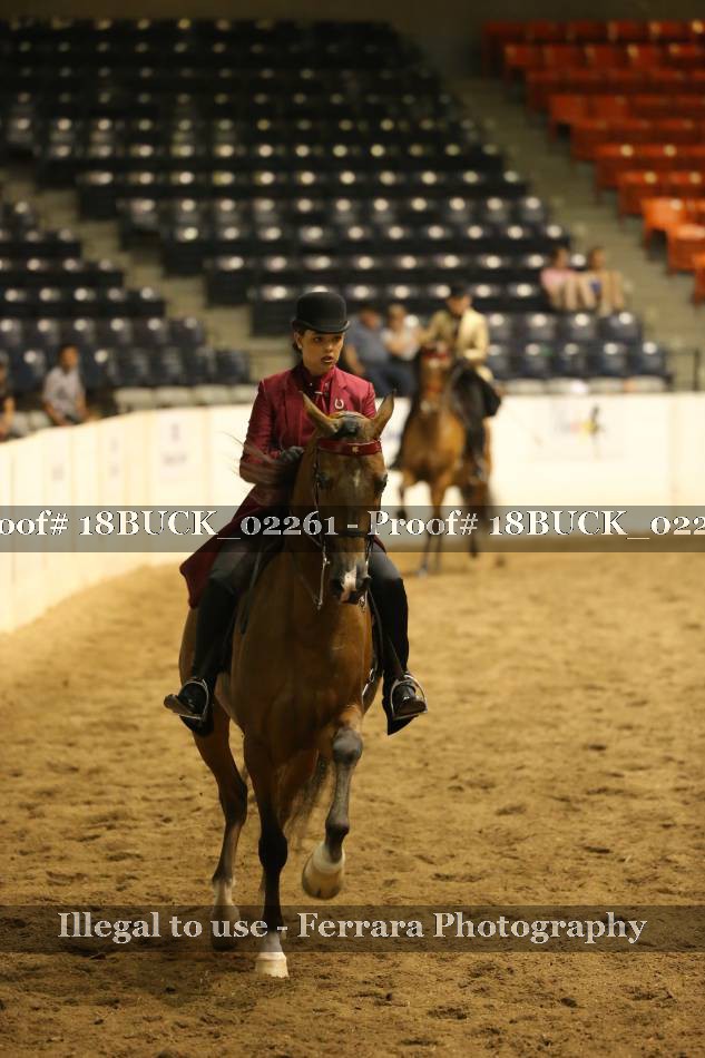 Proof Number 18BUCK_02261