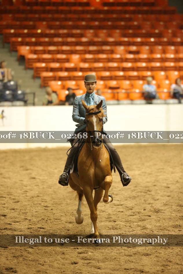 Proof Number 18BUCK_02268
