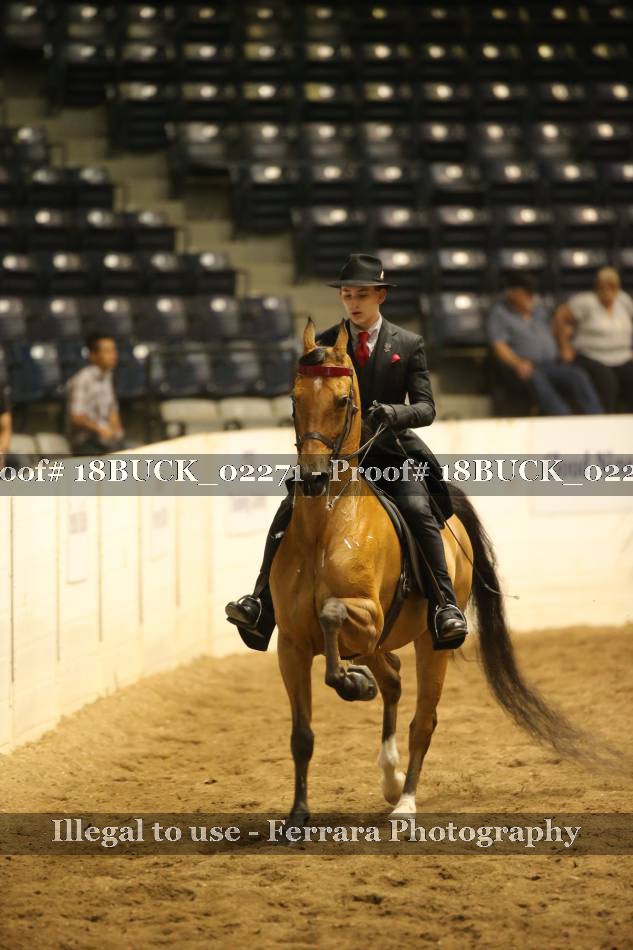 Proof Number 18BUCK_02271