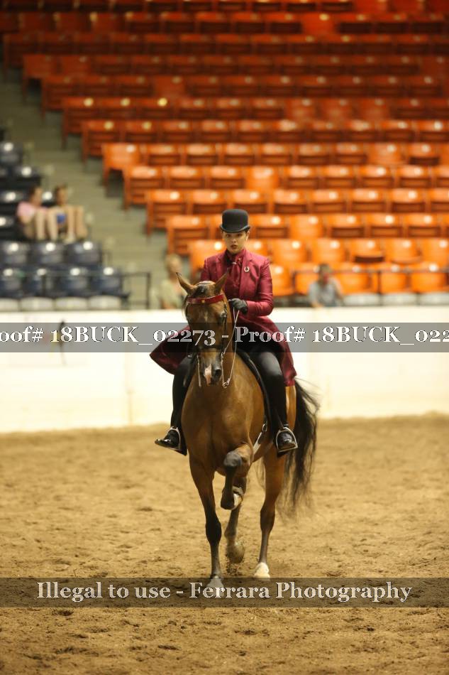 Proof Number 18BUCK_02273