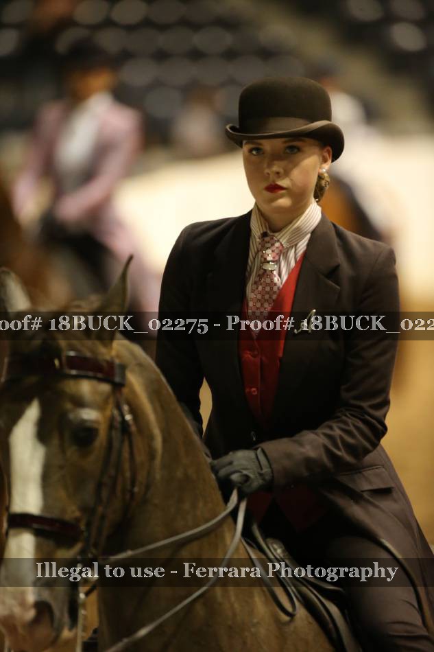 Proof Number 18BUCK_02275