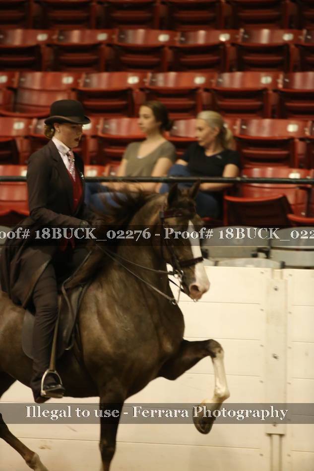 Proof Number 18BUCK_02276