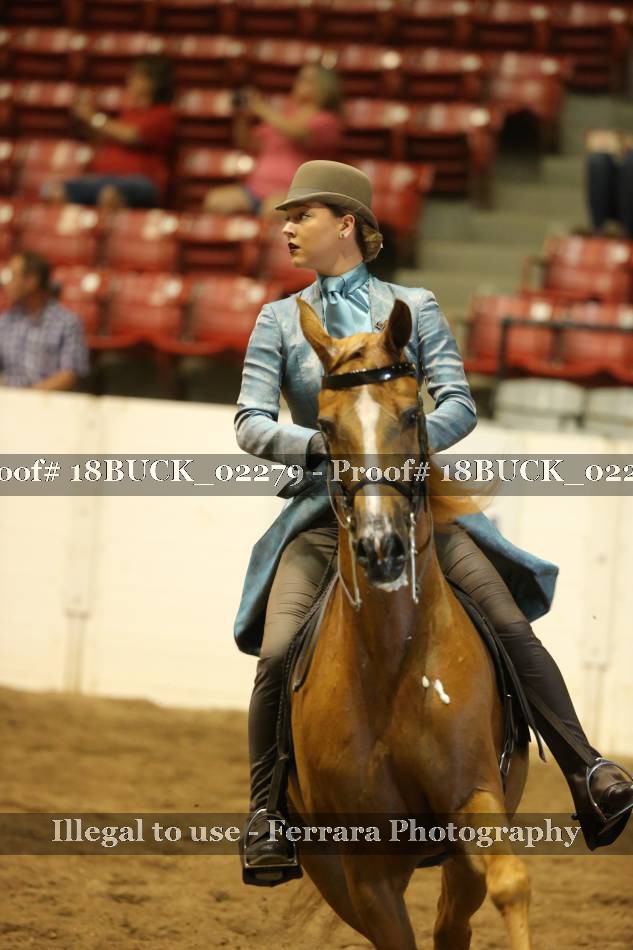 Proof Number 18BUCK_02279