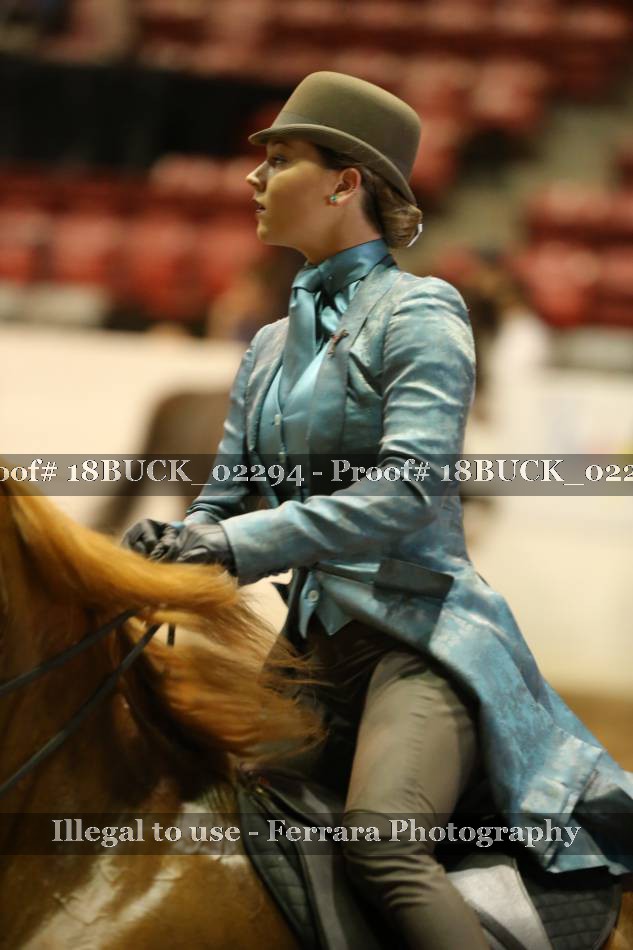 Proof Number 18BUCK_02294