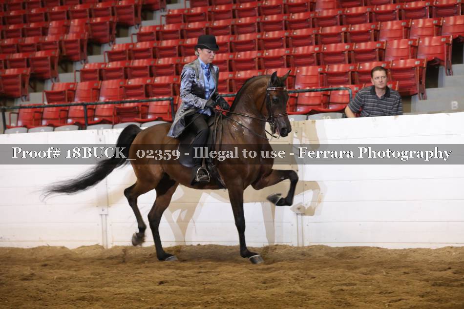 Proof Number 18BUCK_02359