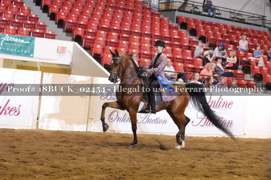 Proof Number 18BUCK_02454