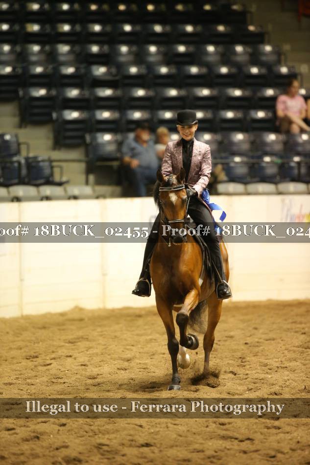 Proof Number 18BUCK_02455