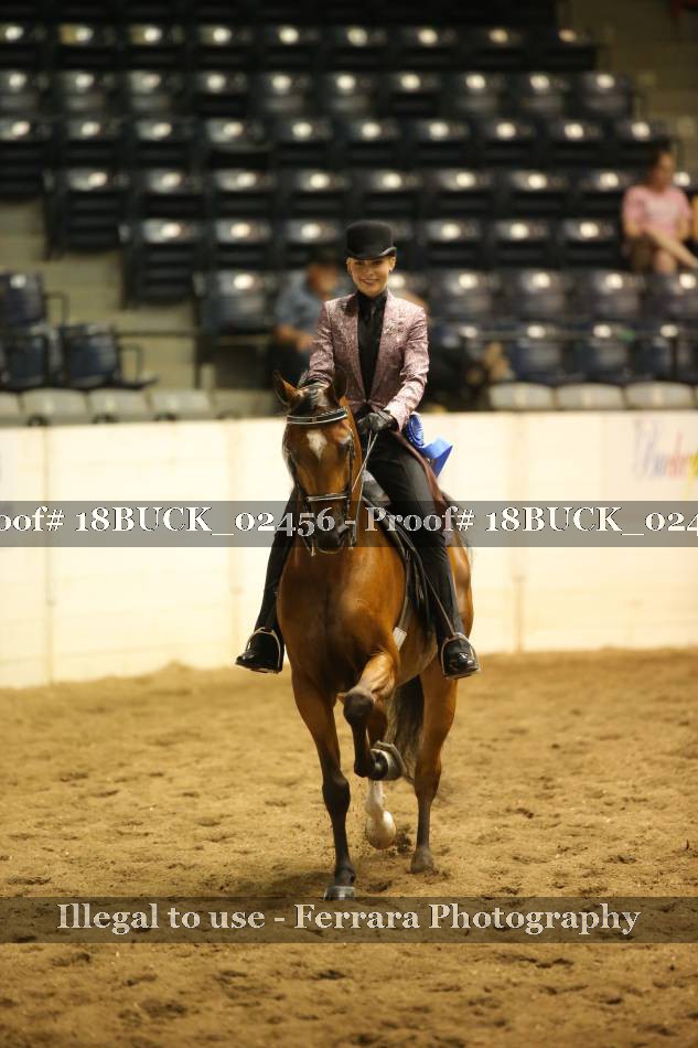 Proof Number 18BUCK_02456