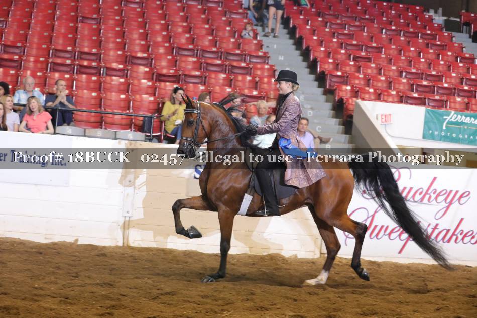 Proof Number 18BUCK_02457