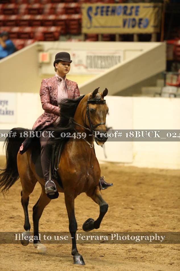 Proof Number 18BUCK_02459