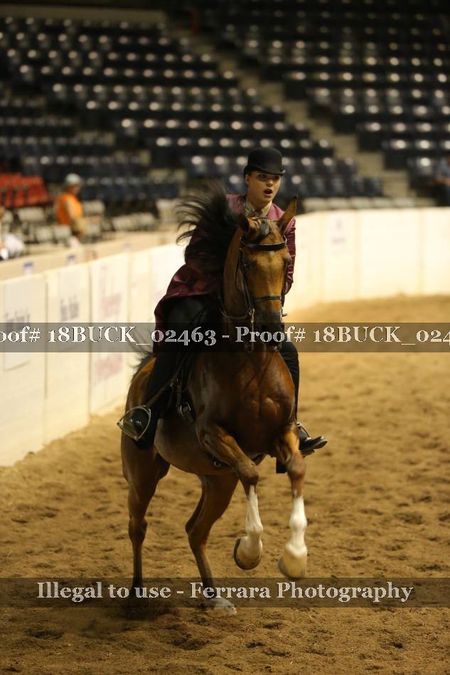 Proof Number 18BUCK_02463