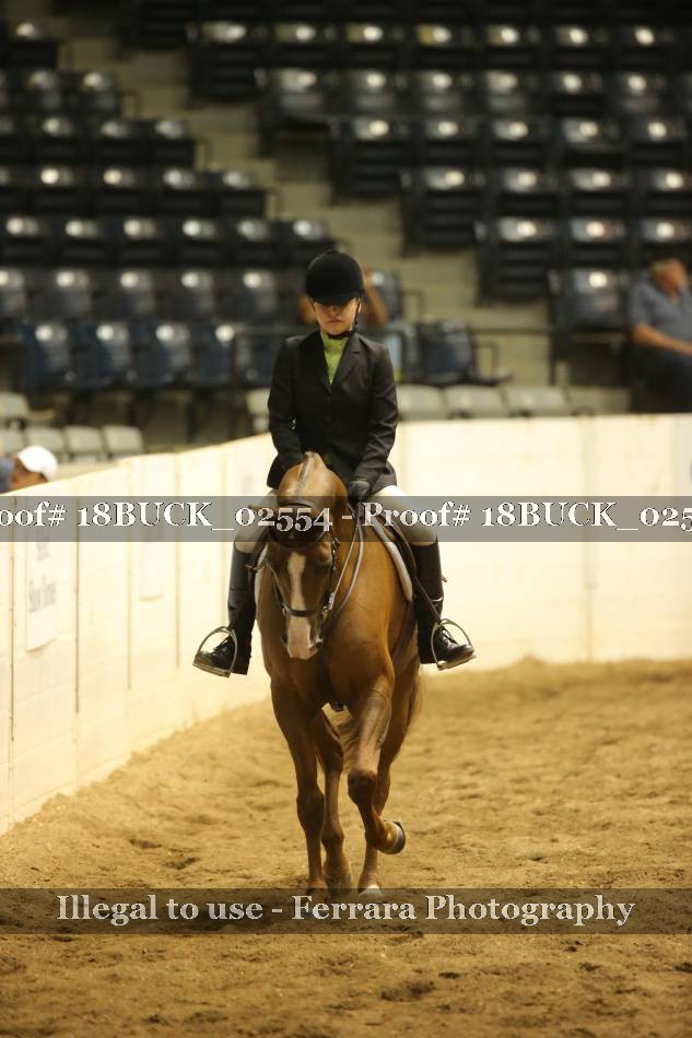 Proof Number 18BUCK_02554