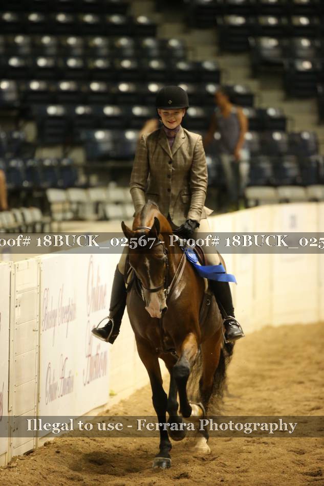 Proof Number 18BUCK_02567