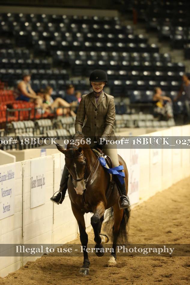 Proof Number 18BUCK_02568