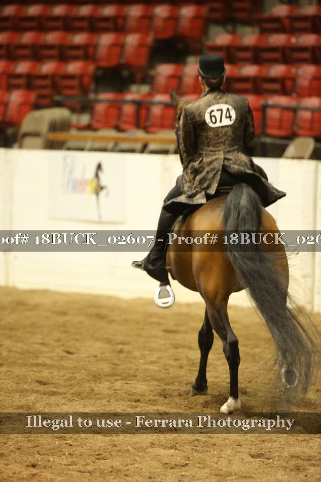 Proof Number 18BUCK_02607