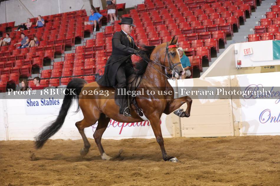 Proof Number 18BUCK_02623